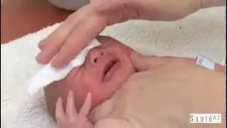 Toilette du nouveau n&eacute;   nettoyer les oreilles, laver les yeux, nettoyer le nez