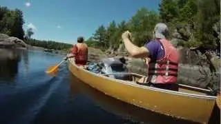 Wild Muskoka - Moon River