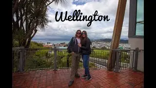 Wellington NZ CITY VIEW