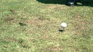 Patrick Chung of the New England Patriots | The Lockout, Belichick, & Golf