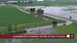 Standing water dangers and mold