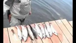 Chalet de chasse et de p&ecirc;che &agrave; vendre