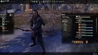 Elder Scrolls Online: Bow Skill line