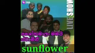 අශෝකමාලා මමයි ස්වාමිනී| Old Sunflower Backing