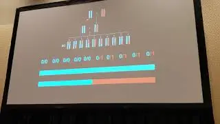 Samuk: Adaptive evolution of recombination rate in Drosophila pseudoobscura