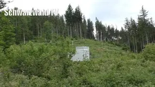 🚨🧐 Fragw&uuml;rdig zu Windenergieanlagen: Warum werden diese Messungen nicht VOR der Planung gemacht ⁉️