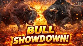 Bull fight | Bull fight in Nepal