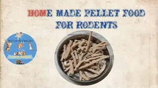 Home made pellet food for hamster in telugu #hamsters #pets #fancy rats #trending #rapido #food #pet