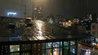 Peaceful Night Rain & Gentle Thunder | Fall Asleep Instantly with Realistic Roof Sounds