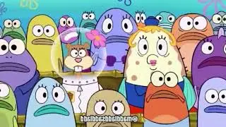 Daily Memes Compilation V41 - Best Funny Memes of the Day!