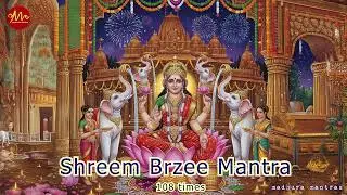Mantra For Money | Shreem Brzee Mantra | Get Rich | For Wealth and Abundance