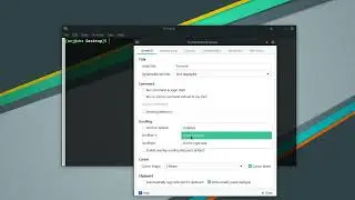 Settings and first view on Manjaro XFCE Terminal Emulator