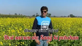 Desi sarson ke saag ki pehchan