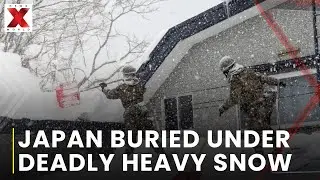 Heavy snow in northern Japan kills 35, avalanche risk rises | NewsX World