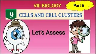Cells and cell Clusters Class 8 biology chapter9 English medium newtextbook 2025 part 6 Let's asses