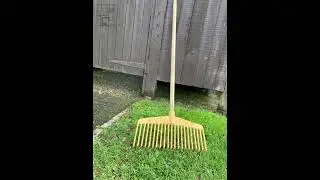 Plastic leaf rake #shorts #fypシ #gardening