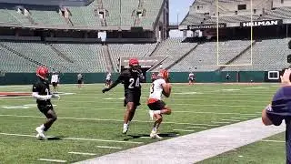Joe Burrow Finds Tyler Boyd on Deep Out Pattern Cincinnati Bengals OTAs