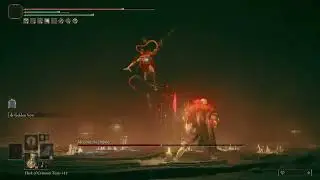 Beating an Elden Ring Boss With Just My Fists (NG+6)
