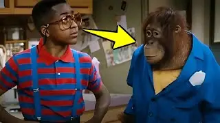 Family Matters (1989): 20 Weird Facts You Didn&rsquo;t Know!