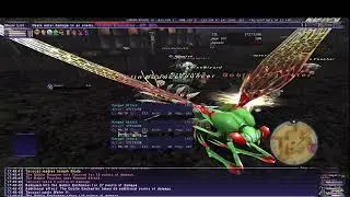 FFXI Garrison - Sanctuary of Zi'Tah - Windurst