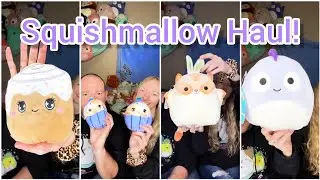 Check Out Our New Squishmallows!