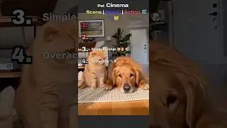 The New Intake Available For Pet Cinema Industries  Funniest Acting Scenes 🎬🐶😼