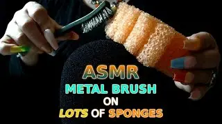 ASMR Intense Metal-String Brush on Magic Sponge, Scrub Daddies & Scour Sponges | CRISP & Crunchy