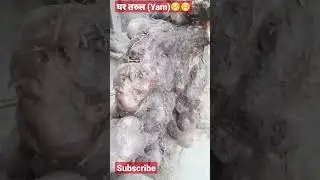 yam #yummyfood #Ironfood @GangaBhattarai