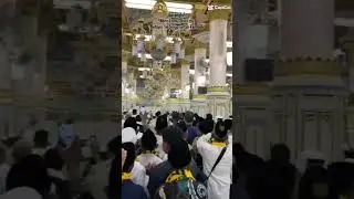 Siapa yang rindu madinah rindu raudhah#shortsvideo