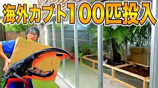 【異世界誕生】200万かけて作った特大ケージにヘラクレスオオカブト含めた世界のクワカブ115匹投入した結果
