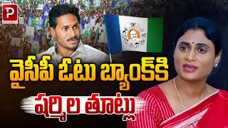 వైసీపీ ఓటు బ్యాంక్ కి షర్మిల తూట్లు | Sharmila Targets YCP Vote Bank | AP Politics | Telugu Popular