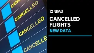 Qantas cancelled over 10 domestic flights a day in October | ABC News
