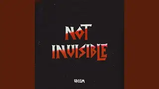 Not Invisible