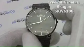 Обзор. Мужские наручные часы Skagen SKW6108