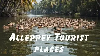 Alleppey Tourist Places | Alleppey House Boat | Kerala Tour