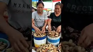 Jumbo sago worms are very nutritious and nutritious @streetflavor-ai