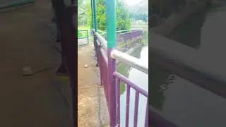 Roda gigi (gear) bendungan #water #dam #gear