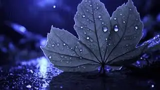Leaf Drops & Alpha Waves for Sleep 💧 Relaxing Night Rain Loop | August 2025