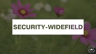 Explore Security-Widefield near Colorado Springs, CO