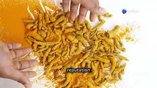 top 3 herbs for cleaning your blood vessels and boosting overall health