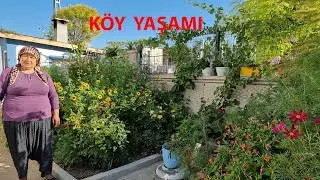 HATİCE HANIMIN BAHÇESİ ÇOK KIYMETLİ DOKUNMAK YOK YOKSA