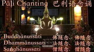 Buddhānussati Dhammānussati Saṅghānussati 佛随念 法随念 僧随念 Pāḷi Daily Chants 巴利语每日念诵 (4:3 HD1080)