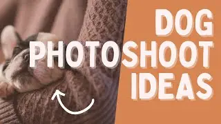 Dog Photoshoot Ideas and Tips for Better Pictures  | 10 Tips for Dog Photography 2022😉