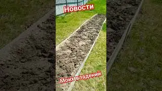 Новости моих владений! #diy #своимируками #юмор #созидатели #строительство #вода #огород
