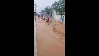 velankanni church Place Live Stream