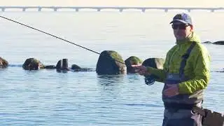 Hvorn&aring;r skal jeg slippe linen i fluekastet?