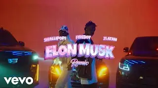 Shallipopi, Zlatan, Fireboy DML - Elon Musk (Remix) (Official Video)