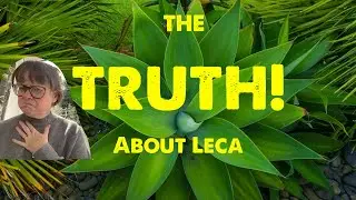 Honest Accounts of Leca for Beginners.