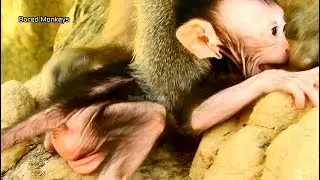 Baby David cry Why Why mom dont feed milk,David get big milk till full sleep on Diamond chest