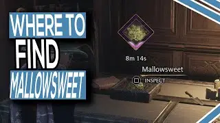 Where To Get More Mallowsweet In Hogwarts Legacy